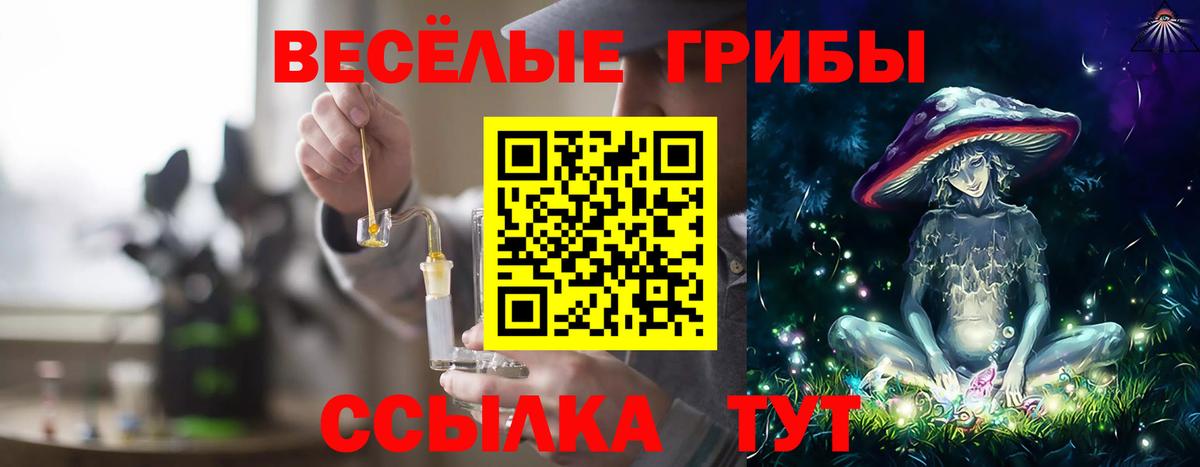Пугачёв  Псилоцибиновые грибы мухоморы  Вход с VPN 